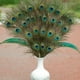 thumbnail image 4 of Hermosa pluma natural DIY joyería decoración decorativa 25-32 cm de longitud 50 Piezas Scienceny HA4712-00B, 4 of 6