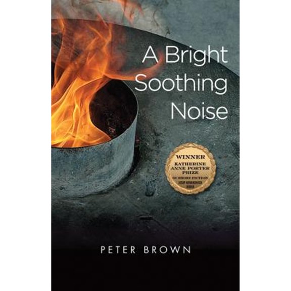 Pre-Owned A Bright Soothing Noise (Paperback) 1574412914 9781574412918