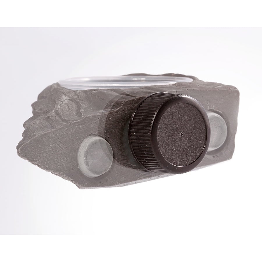 pangea mini magnetic gecko feeder ledge