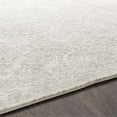 thumbnail image 2 of Surya Aisha AIS-2307 120 x 168" Rectangle Fabric Rug in Light Gray/Off White, 2 of 9