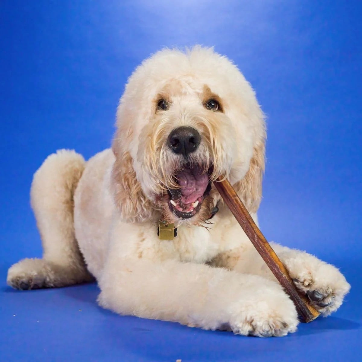 Best Bully Sticks Jumbo Bully Sticks - 12 Inch, 25 Count (Pack of 1) - Natural, Grass-Fed Beef, Single Ingredient, Grain-Free, Rawhide Alternative, Dog Treats for Large Dogs