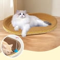 thumbnail image 1 of twisto Cat Bed with Scratching Post Made of Corrugated Cardboard, Interactive Scratching Post, Play Accessories, Scratching Toys, Oval Shape, Comfortable Res L, 1 of 8
