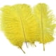 thumbnail image 1 of Plumas de avestruz naturales CHAO color amarillo 15-20cm para decoración, 1 of 4