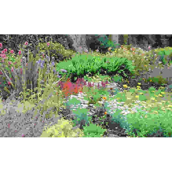 Biggies 100" Flower Photograph Window Well Scenes