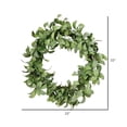 thumbnail image 2 of Vickerman FG191222 Couronne de Feuilles Lamb Ear 22 Po., 2 of 2