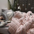 thumbnail image 1 of Wool Adult Thickened Warm Winter Blanket Household Super Soft Down Comforter Luxury Solid Blanket On Double Bedding, 1 of 1