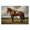 Red Mare Pastoral Landscape, variant on Stupell Industries Traditional Red Mare in Pastoral Landscape Canvas Art, 24 x 16, by Petals Prints Design