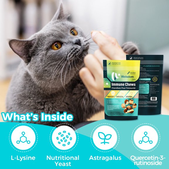 Mâchouilles Immunitaires pour Chats – Supplément de Soutien Immunitaire pour la Santé du Système Immunitaire des Chats 60 Mâchouilles