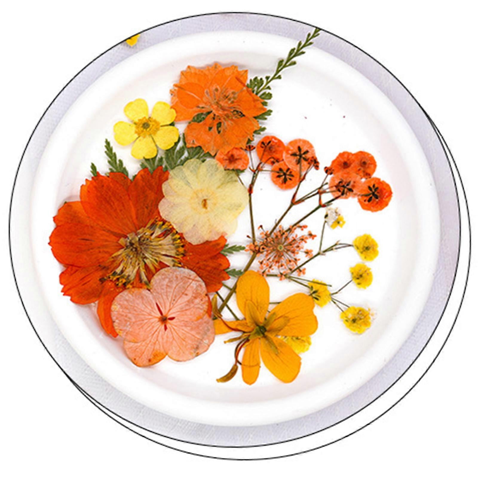 30Pcs Pressed Flower Art Craft Embellishment Supplies For Handmade Bookmarks Candle Jewelry Making Scrapbooking
