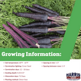 thumbnail image 2 of Harris Seeds - Carrot Deep Purple F1 For Planting - Non-GMO - 250 Seeds, 2 of 7