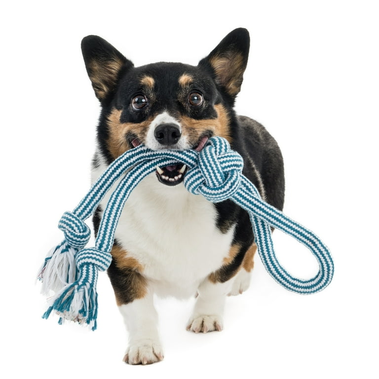 Mammoth® Flossy Chews® Extra™ Braided Toys Mammoth® Flossy Chews® Extra™ Braided Toys