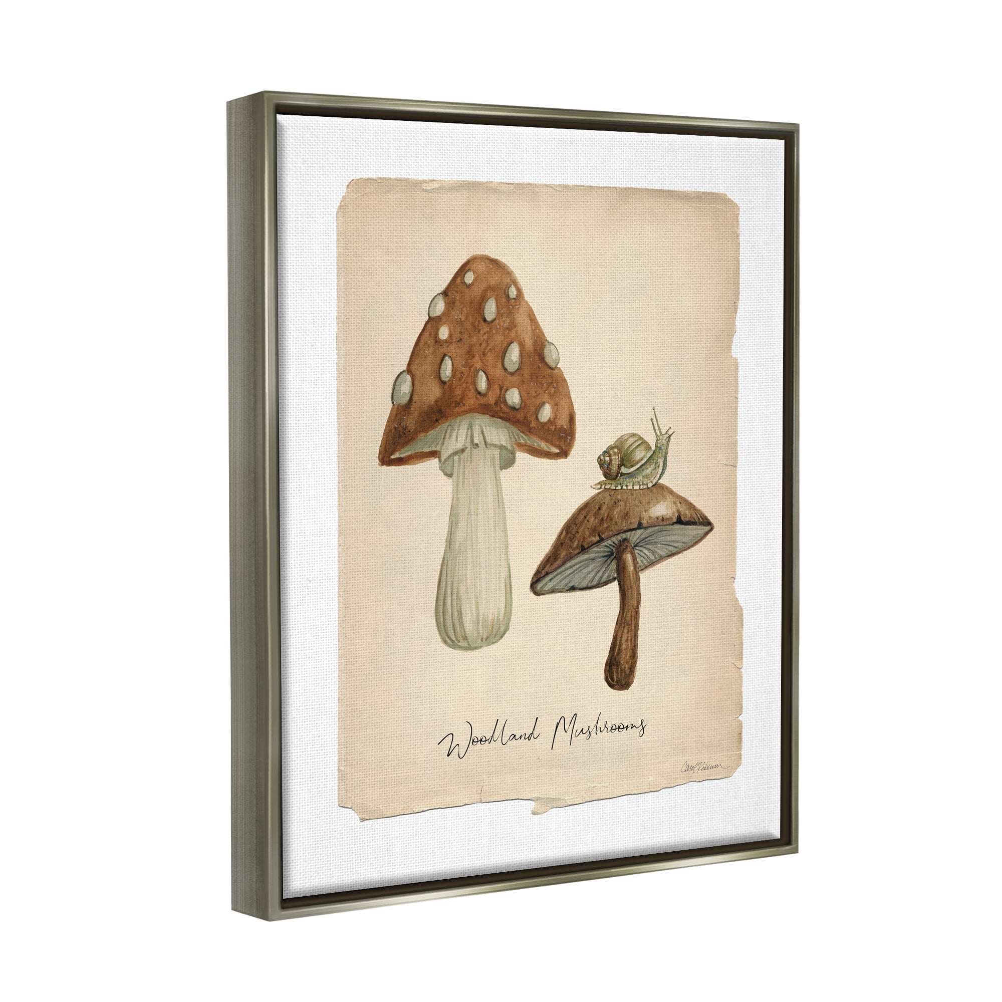 Stupell Industries Woodland Mushrooms & Snail Botanical & Floral Painting Gray Floater Framed Canvas Art Print Wall Art, 25 x 31