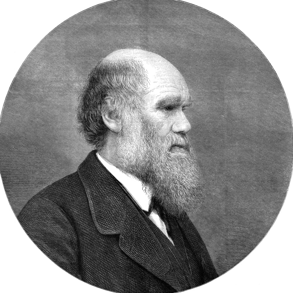 Charles Robert Darwin N(18091882) English Naturalist Engraving 1892 Rolled Canvas Art (24 x