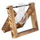 thumbnail image 3 of Terrario de Plantas Con Soporte de madera Ccdes Jarrón de vidrio Maceta Decorativa Multiusos para Plantas, 3 of 8