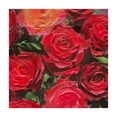 thumbnail image 4 of BANET Red Rose Floral Romantic Rose Flowers Nature Print Rectangle Table Cloth Wipeable Polyester Table Cover for Dining Room Kitchen Wedding Party Decor white, 4 of 8