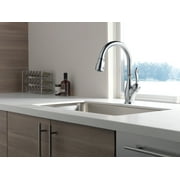 Delta Leland Single Handle Pull-Down Kitchen Faucet in Arctic Stainless 9178-AR-DST