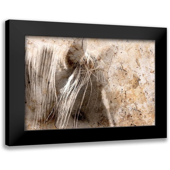 Tyrrell, Lu Anne 14x11 Black Modern Framed Museum Art Print Titled - Cast in Stone