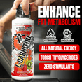 thumbnail image 2 of Frontline Formulations L-Carnitine | Premium Stimulant Free Workout Drink | Transforms Fat Into Energy and Supports Muscle Recovery For Men and Women | Hawaiian Punch, 2 of 5