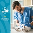 thumbnail image 6 of NaturVet Quiet Moments Calming Aid + Melatonin Soft Chews for Cats 60ct, 6 of 8