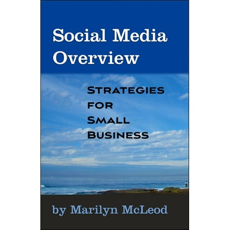Social Media Overview: Strategies for Small Business - (Best Social Media For Small Business)