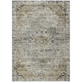 thumbnail image 2 of Addison Rugs Chantille Indoor/Outdoor Traditional Global Taupe Machine Washable Rectangle Rug, 5' x 7'6", 2 of 8