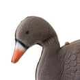 thumbnail image 3 of Realistic Hunting Decoy Full Size Turkey  Decor, 3 of 8