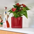 thumbnail image 3 of Lechuza Cube Glossy 16 Scarlet Red High Gloss Square Planter, 7"x7", 3 of 9