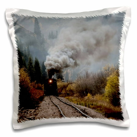 Train Pillowcase 3dRose Colorado, Silverton. Durango and Silverton Narrow Gauge train. - Pillow Case, 16 by 16-inch ()