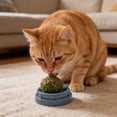 thumbnail image 4 of UP TO 70% OFF! Interactive Cat Chew Ball Toy with Natural Catnip, Rolling Wobble Pet Teething Toy, Teeth Cleaning Plaything for Indoor Cats, Boredom Relief Cat Enrichment Toy, 4 of 4