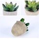 thumbnail image 3 of Pcs Indoor Artificial Plants, Fake Plants With Gray Pot Artificial Grass Decoration For Outdoor Wedding Office Table Garden, 3 of 4