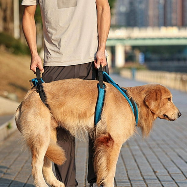 kurtrusly Padded Dog Lift Harness Support Sling Lifter with Handle Walk Full Body Walmart