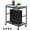 Black, variant on Computer Tower Stand White PC Tower Stand 2 Tier CPU Holder with Wheels Metal Mobile Computer Tower Cart Rolling PC Cart Floor for Fax Home Office