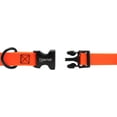 thumbnail image 3 of Tiger Tail URBAN NOMAD Dog Collar - lightweight waterproof & odor proof dog collar, 3 of 7