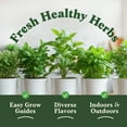thumbnail image 3 of Seedboy Organic 5 Herb Variety Pack: Basil, Mint, Rosemary, Parsley, Cilantro Seeds for Indoor Gardening or Planting Outdoors, Non-GMO and USDA Certified Herb Seed Packets (5 Herb Variety Pack), 3 of 7