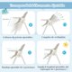 thumbnail image 4 of Costway Trona Plegable para Bebés Silla de Comer Ajustable con 4 Ruedas Bloqueables 6 Alturas Bandeja Extraíble Cojín 70 x 56 x 88-106 cm, 4 of 10