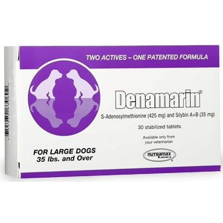 Nutramax Large Dogs Walmart Nutramax Large Dogs Walmart
