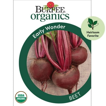 Burpee Organics Early Wonder Beet Seeds - Non-GMO, Heirloom Organic Vegetable Gardening Seeds, 2.5g, 1-Pack
