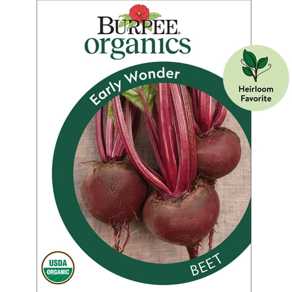 Burpee Organics Early Wonder Beet Seeds - Non-GMO, Heirloom Organic Vegetable Gardening Seeds, 2.5g, 1-Pack