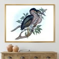 thumbnail image 2 of Designart 'Ancient Australian Birds VII' Traditional Framed Canvas Wall Art Print, 2 of 5