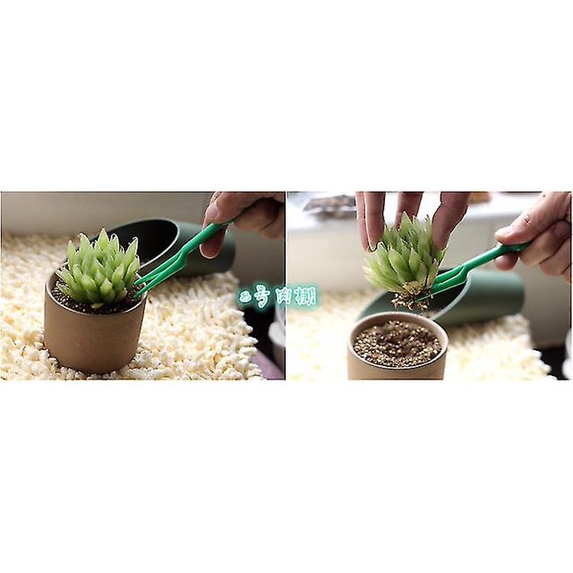 Mini pala de herramientas de jardín especial + herramientas de plantación de jardín para trasplante de plantas Catalpa, productos en macetas de flores esquí esquí Gafas de esquí