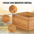 thumbnail image 3 of 10 Frame Deep Brood Beehive Board Unassembled Bee Box Wax Coated Bee Hives Body Comes with PACK of Screws(No Frames or Foundations), 3 of 5
