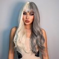 thumbnail image 4 of 70cm Gray White Bangs Long Curly Hair High Temperature Silk Rose Net Wig, 4 of 5