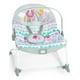 thumbnail image 2 of Silla Vibradora Mecedora Bright Starts 2 En 1 Rainbow, 2 of 5