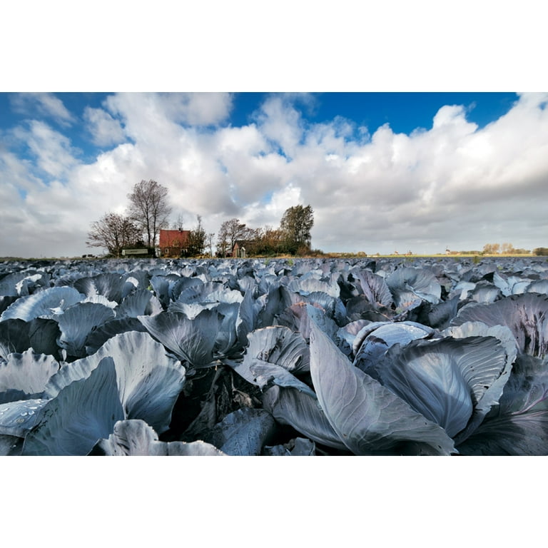 Free Shipping! Nikon AF-S DX NIKKOR 10-24mm f/3.5-4.5G ED Ultra