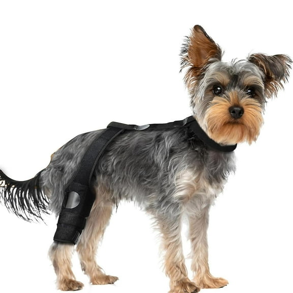 Dog Leg Braces for Back Leg, Dog Hip Brace, Cruciate Care Knee Brace for Dogs, Dog Back Brace