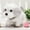 Gray, variant on Plush Toys - Simulation Puppy Pet Toy Dog Can Walk And Call Toy Dog Chil-dren’s Gift