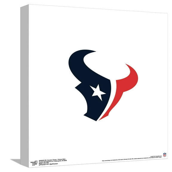Gallery Pops NFL Houston Texans - Primary Mark Canvas Wall Art, Unframed Version, 12" x 12"