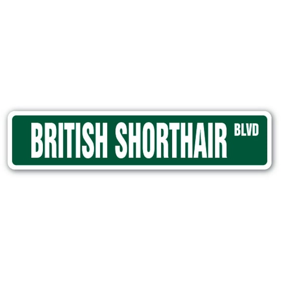 British Shorthair Street [3 Pack] of Vinyl Decal Stickers