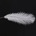 thumbnail image 2 of 30 Pcs de Plumes d'Autruche Blanches Naturelles 20-25cm Mariage DIY, 2 of 7