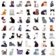 thumbnail image 3 of Cute cat stickers, set of 50, waterproof and UV resistant, perfect for all your gadgets, 3 of 5